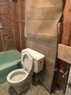 West Hills - In Progress