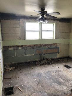 Forestdale - In Progress